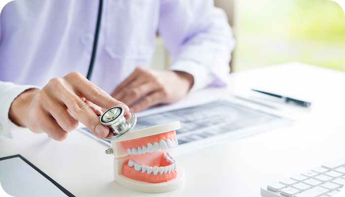 전체 틀니 / 부분 틀니