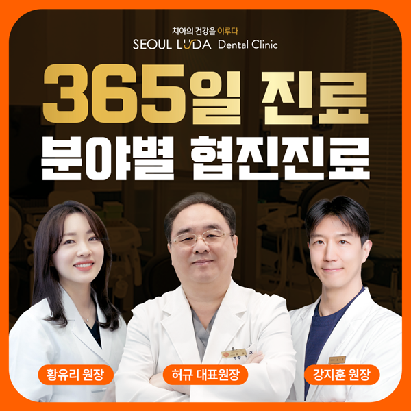 서울루다치과 의료진